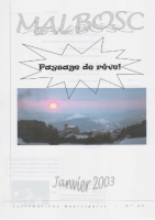 2003-01-Informations Municipales-085 (Site internet)