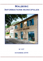 2016-11-Informations Municipales-107 (Site internet)